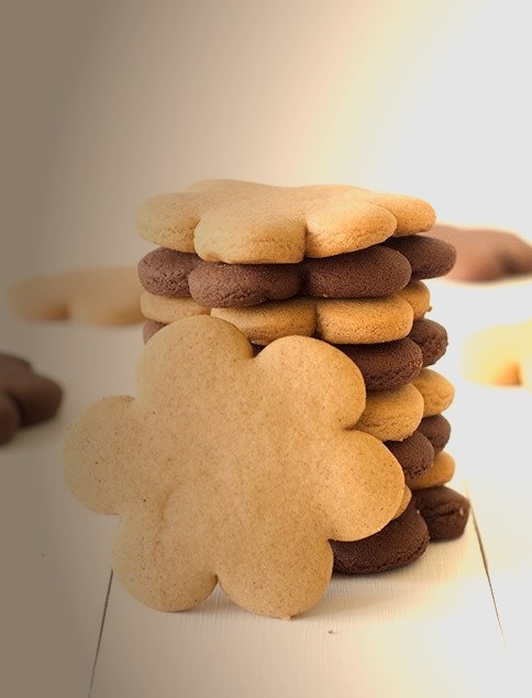 Gingerbread and Chocolate Gingerbread Cookies